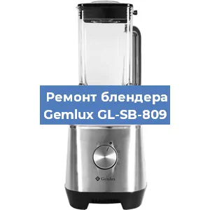Замена щеток на блендере Gemlux GL-SB-809 в Санкт-Петербурге